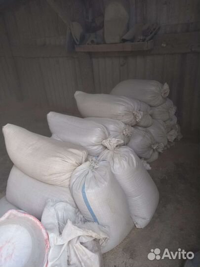 Зерно пшеница ячмень