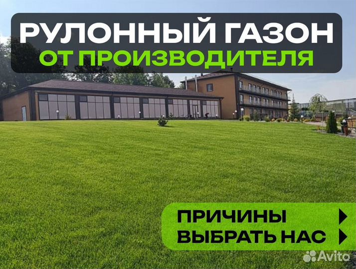 Рулонный газон Элитный. От производителя
