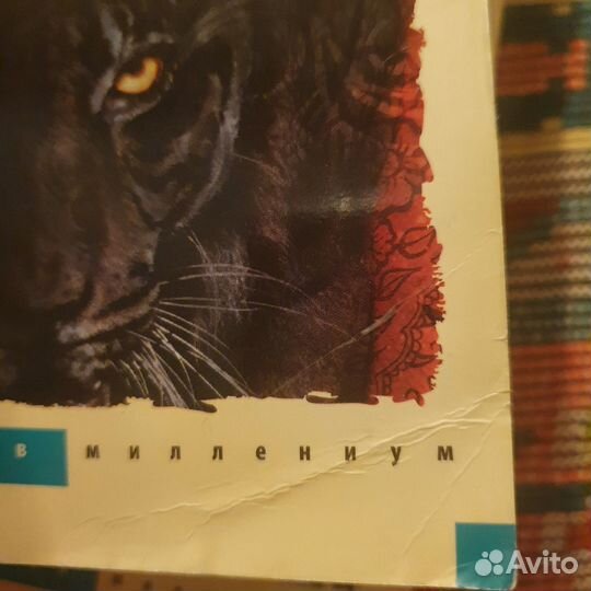 Проклятие тигра Коллин Хоук