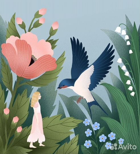 Иллюстратор дизайнер