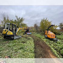 Расчистка участка, осветление леса, планировка