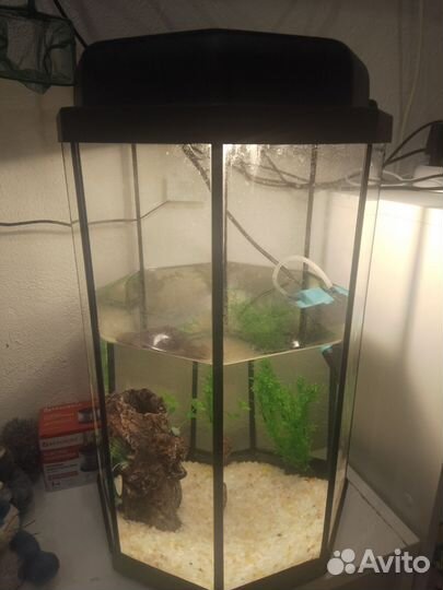 Аквариум с фильтром и светом