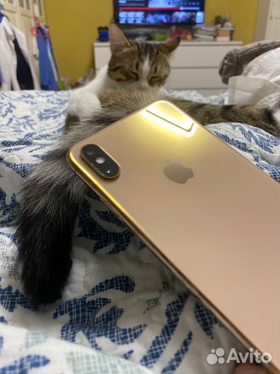 iPhone Xs Max, 512 ГБ