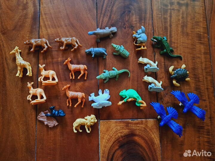 Kinder киндер natoons