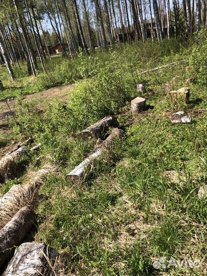 Дрова бесплатно самовывоз