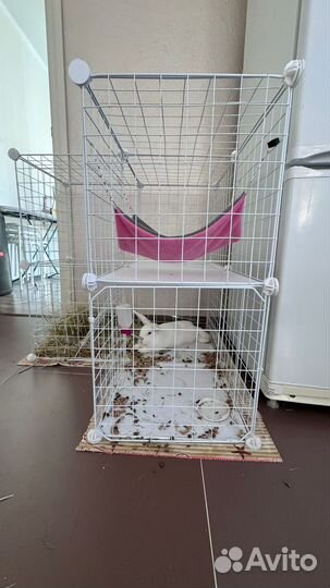 Кролик декоративный с клеткой