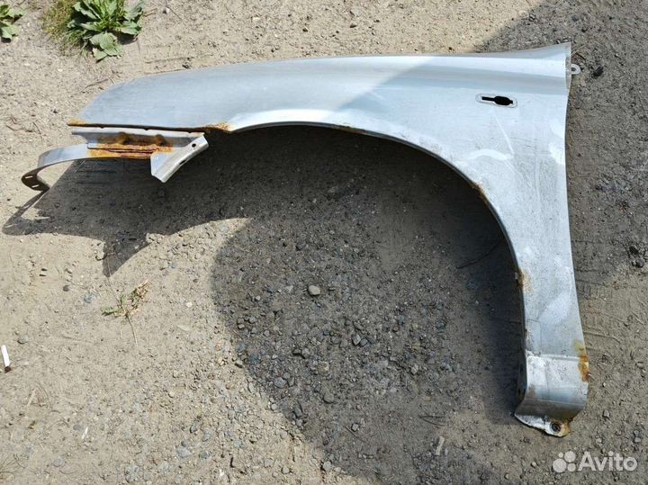 Крыло калина 1