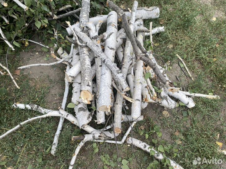 Дрова березовые