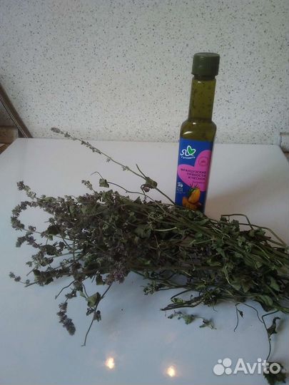 Мята супер ментол сухая. Рассада