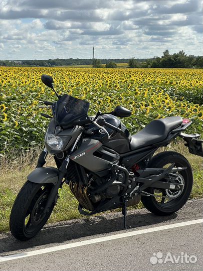 Yamaha Xj6n 2013