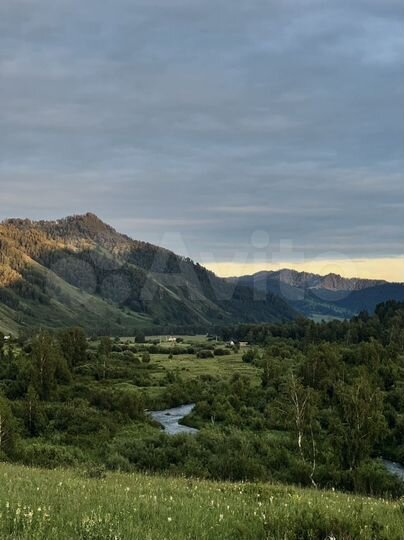 Участок 12 сот. (СНТ, ДНП)