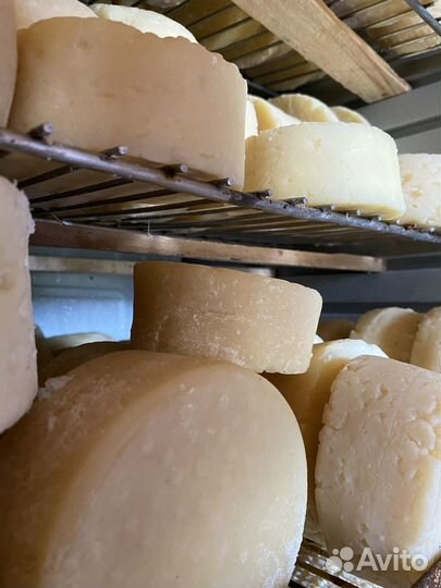 Сыр домашний козий