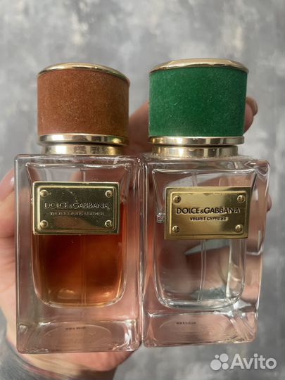 Духи dolce gabanna velvet collection