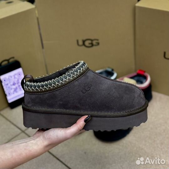 UGG Tazz оригинал