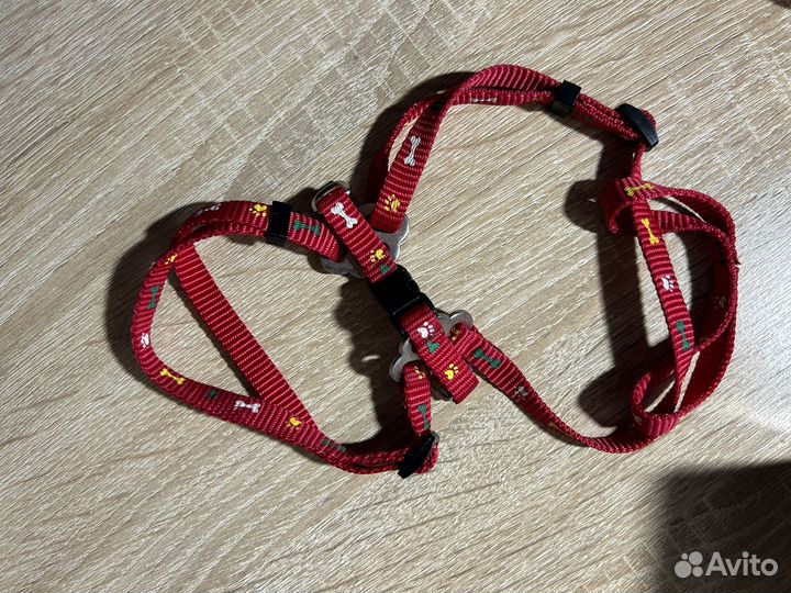 Поводок для кролика