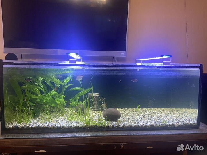 Аквариум