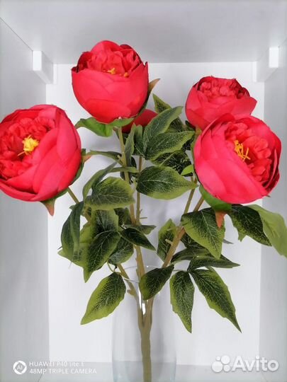 Букет крупных пионов