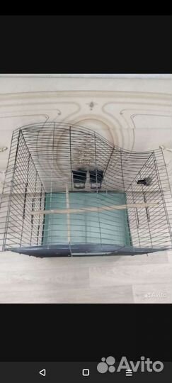 Клетка для среднего попугая