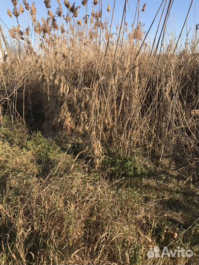 Сеть маскировочная Камыш сухой