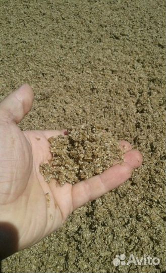 Пивная дробина (ячьмень, барда)