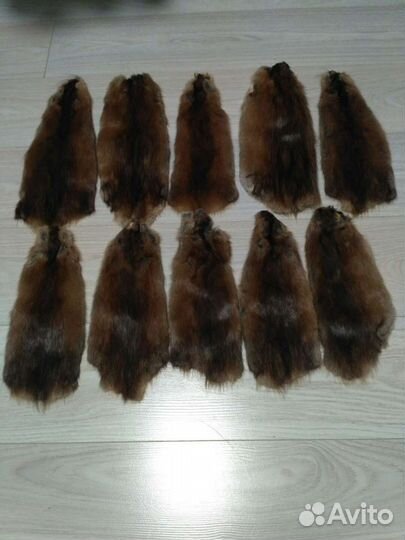 Шкурки ондатры 10шт