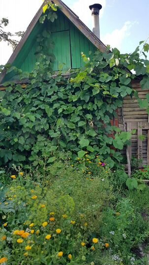 Участок 3,2 сот. (СНТ, ДНП)