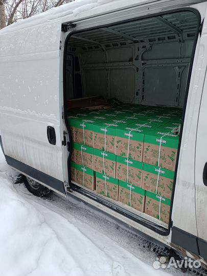 Бумага А4 SvetoCopy белая