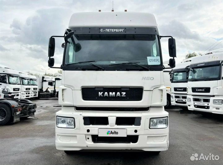 КамАЗ 5490 NEO, 2018