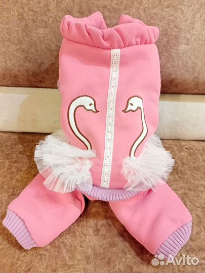 Одежда для собак мелких пород зима