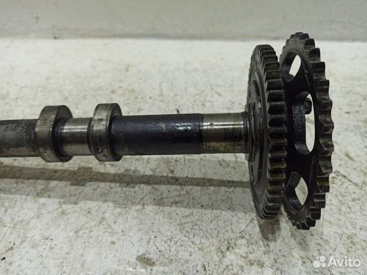 Распредвал выпускной