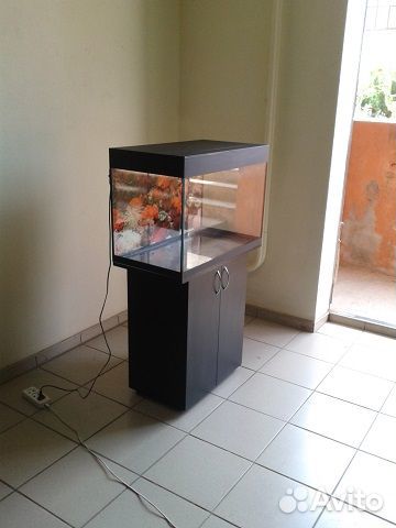 Аквариум 100 биофильтр, тумба, фон, свет