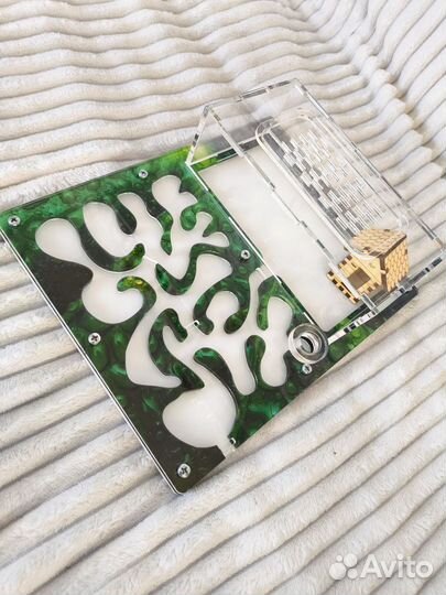 Формикарий с муравьями