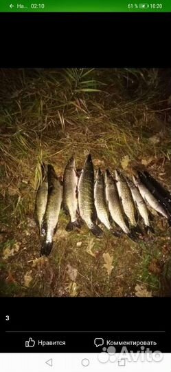 Комплект Мужского костюма для подводной охоты