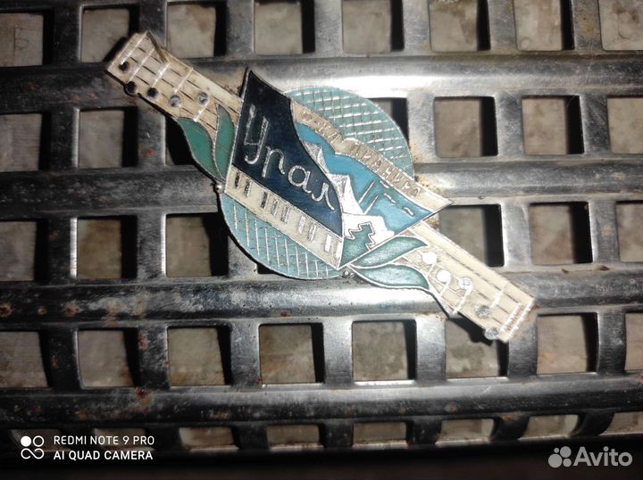 Баян березка