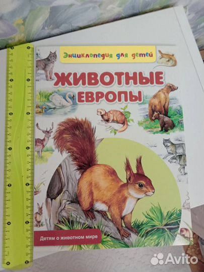 Детская книга