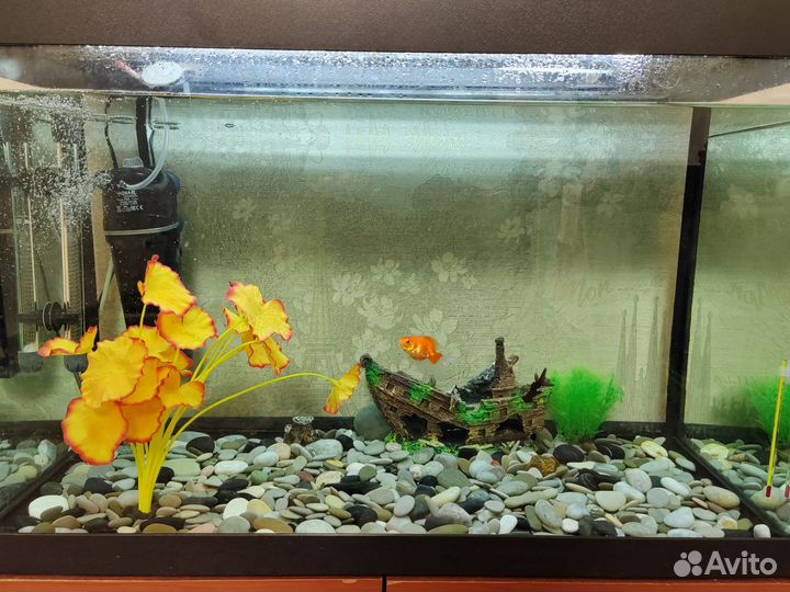 Аквариум