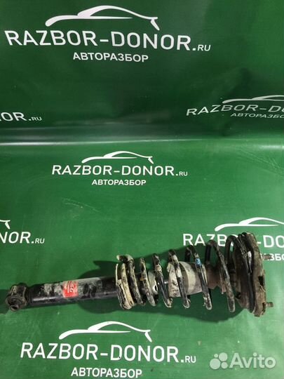 Амортизатор передний правый Nissan Primera (P10) I