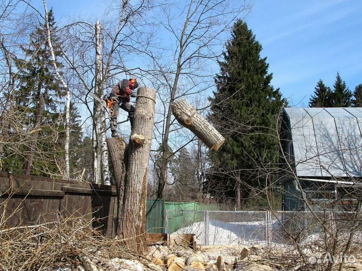 Опиловка деревьев