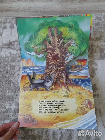 Книга распашенка