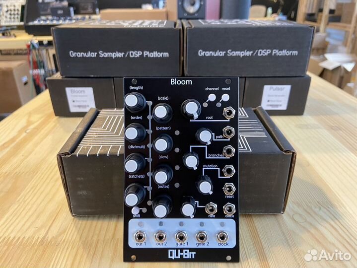 Qu-Bit Bloom eurorack модуль