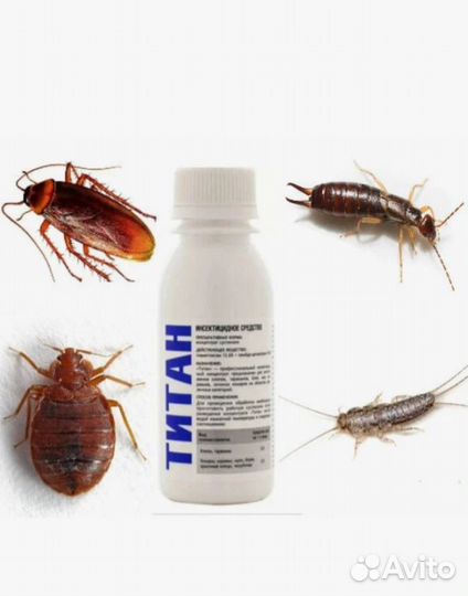 Средство от Тараканов, Клопов, Блох, Муравьев