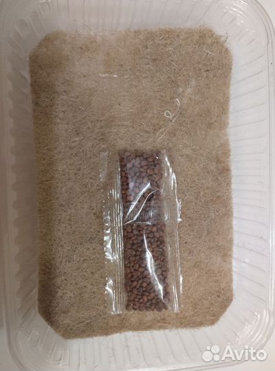 Наборы для выращивания микро зелени