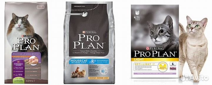 Корма и лакомства для кошек собак