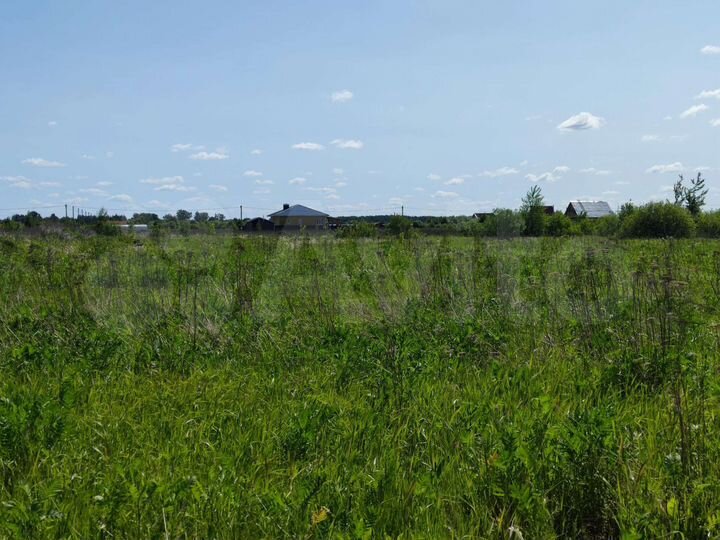 Участок 12 сот. (СНТ, ДНП)