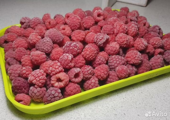 Малина свежая