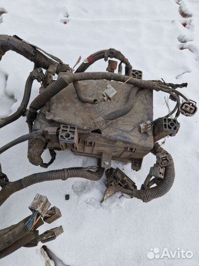 Элпроводка на Toyota Land Cruizer 100 бензиновый