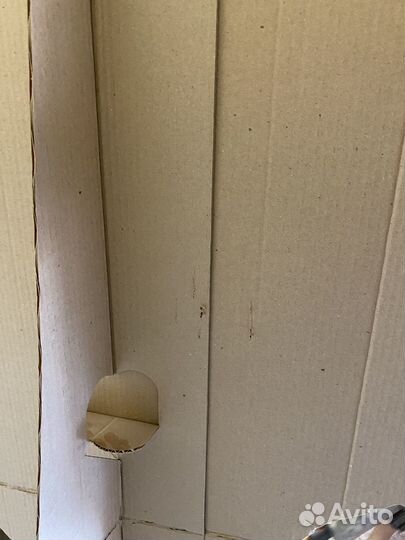 Картонная фигура Сергея Лазарева