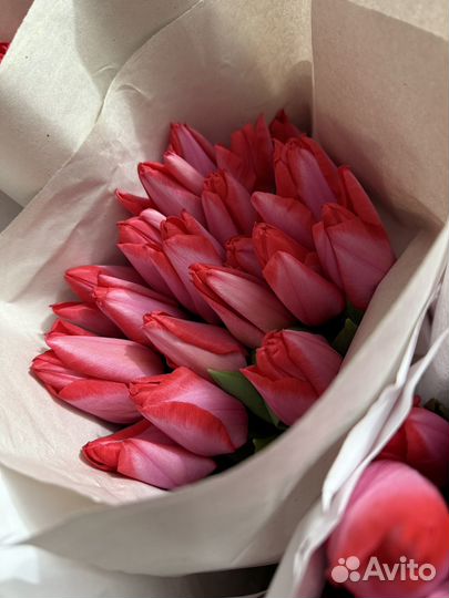 Тюльпаны к 8 марта розница
