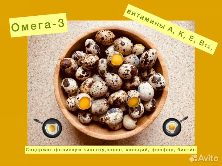 Яйца перепелиные домашние