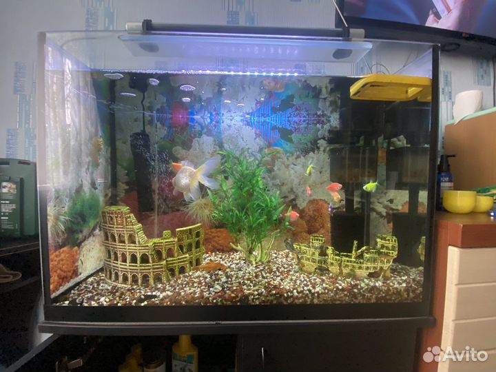 Аквариум